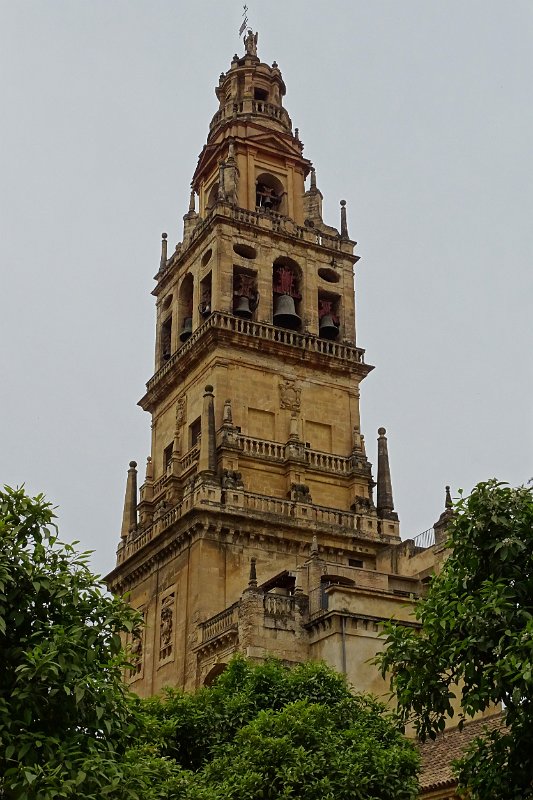 DSC00952