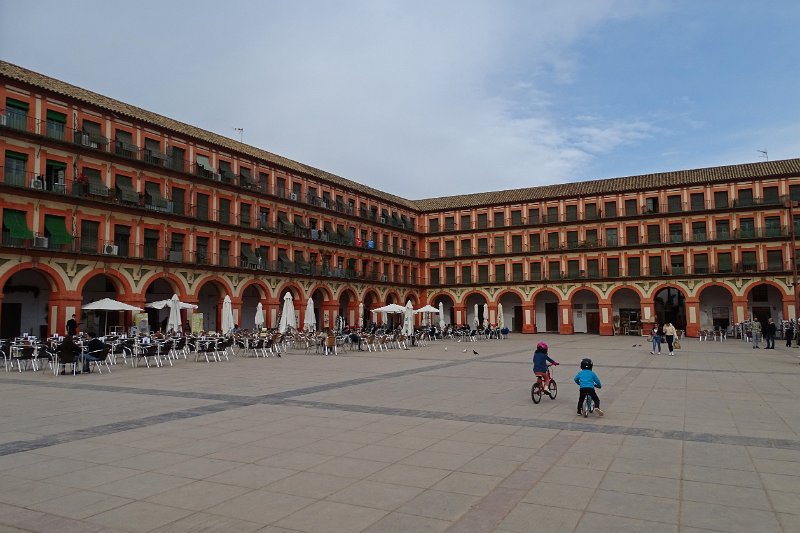 DSC01017
