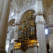 DSC00766