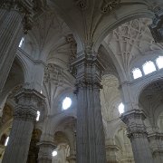 DSC00781