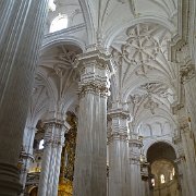 DSC00783