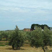 DSC00809