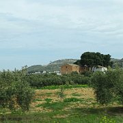 DSC00810