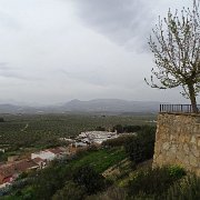 DSC00823