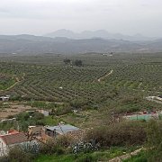 DSC00825