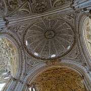 DSC00893