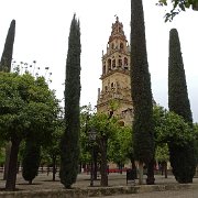 DSC00941