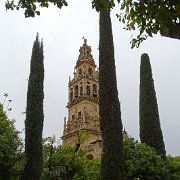DSC00942