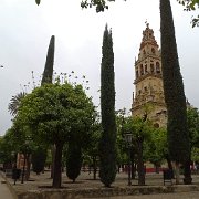 DSC00943