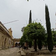 DSC00944