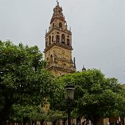 DSC00945