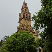 DSC00946