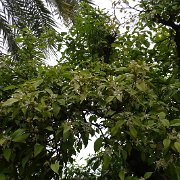 DSC00948