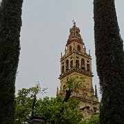 DSC00950