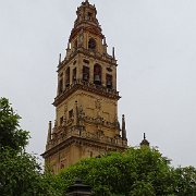 DSC00951