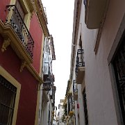DSC00966