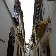 DSC00967