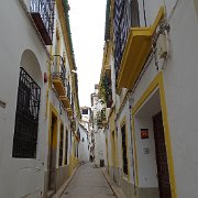 DSC00968