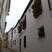 DSC00973