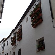 DSC00974