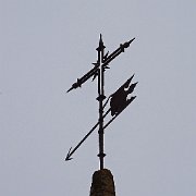 DSC00976