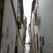DSC00977