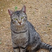 DSC00999
