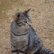DSC01000