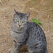 DSC01001