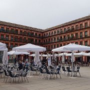 DSC01018