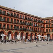 DSC01019