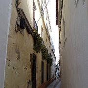 DSC01026
