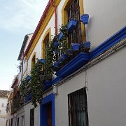 DSC01031