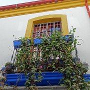 DSC01032