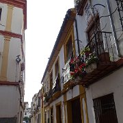 DSC01035