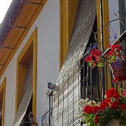 DSC01036