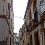 DSC01038