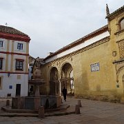 DSC01043