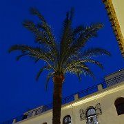 DSC01062