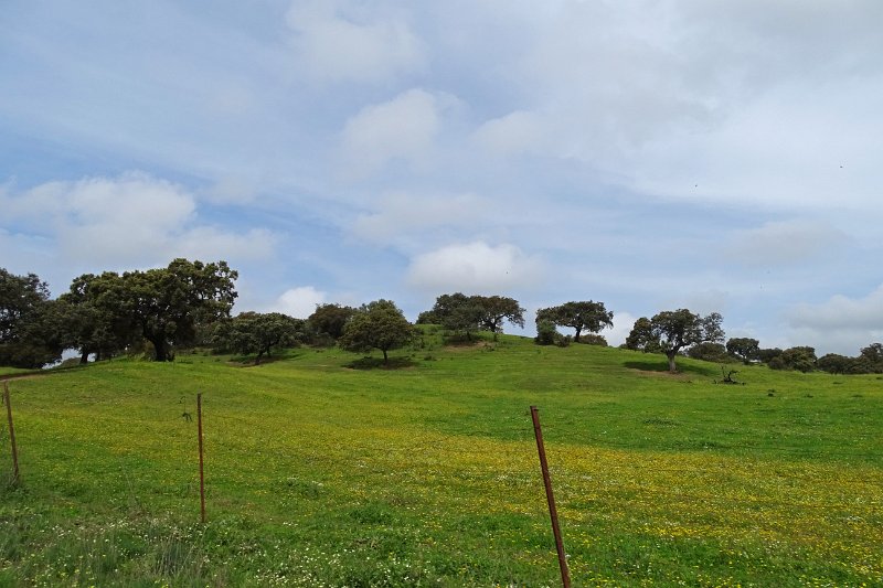 DSC01106