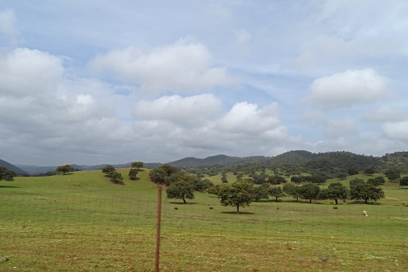 DSC01108