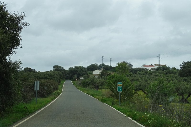 DSC01113
