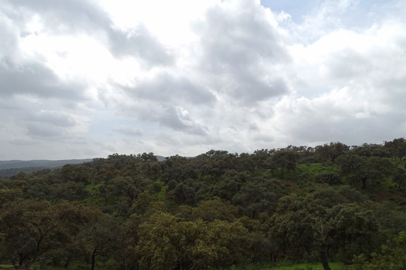 DSC01133