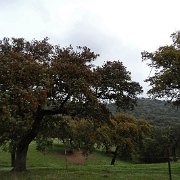 DSC01099