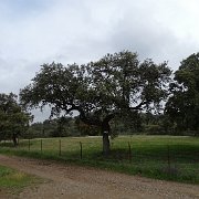 DSC01100
