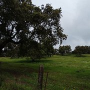 DSC01102