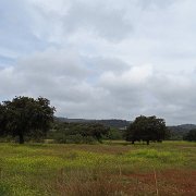 DSC01104