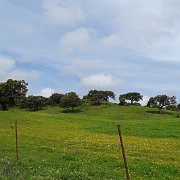 DSC01106