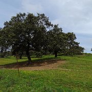 DSC01107