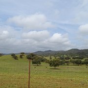 DSC01108